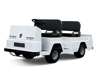 Taylor-Dunn FT-240