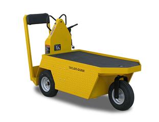 Taylor-Dunn SC-090 24V