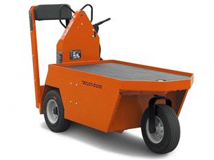 Taylor-Dunn SC-100 48V