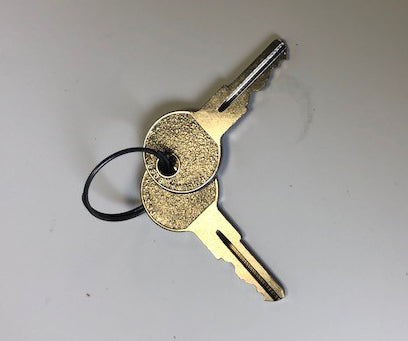 71-120-80 Taylor-Dunn KEYS,FOR 71-120-00 & 01(PK556)